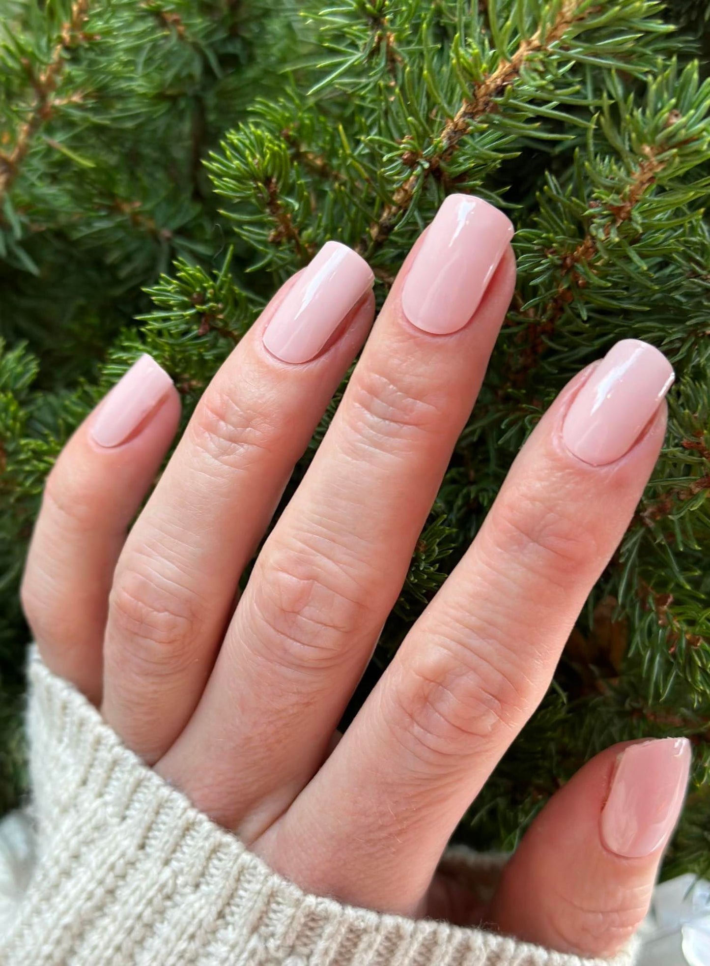 Romantická ružová (Romantic Pink)