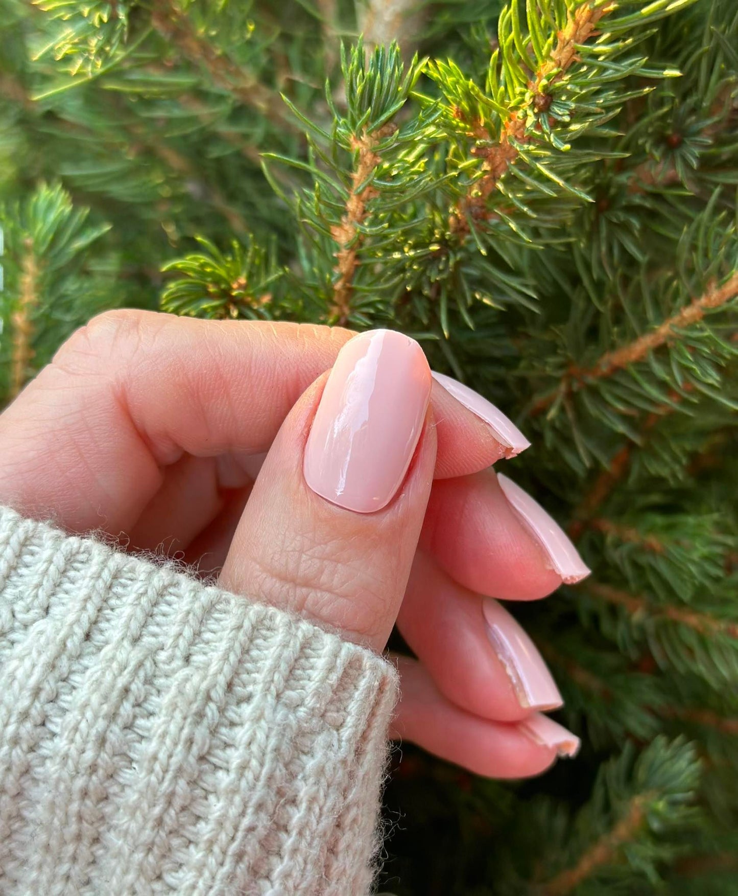 Romantická ružová (Romantic Pink)