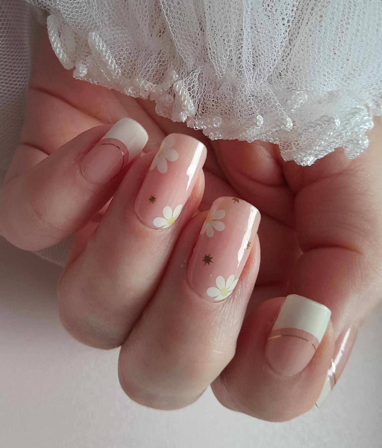 Francúzska sedmokráska (French Daisy)