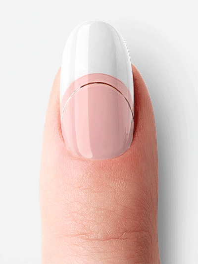 Francúzska sedmokráska (French Daisy)