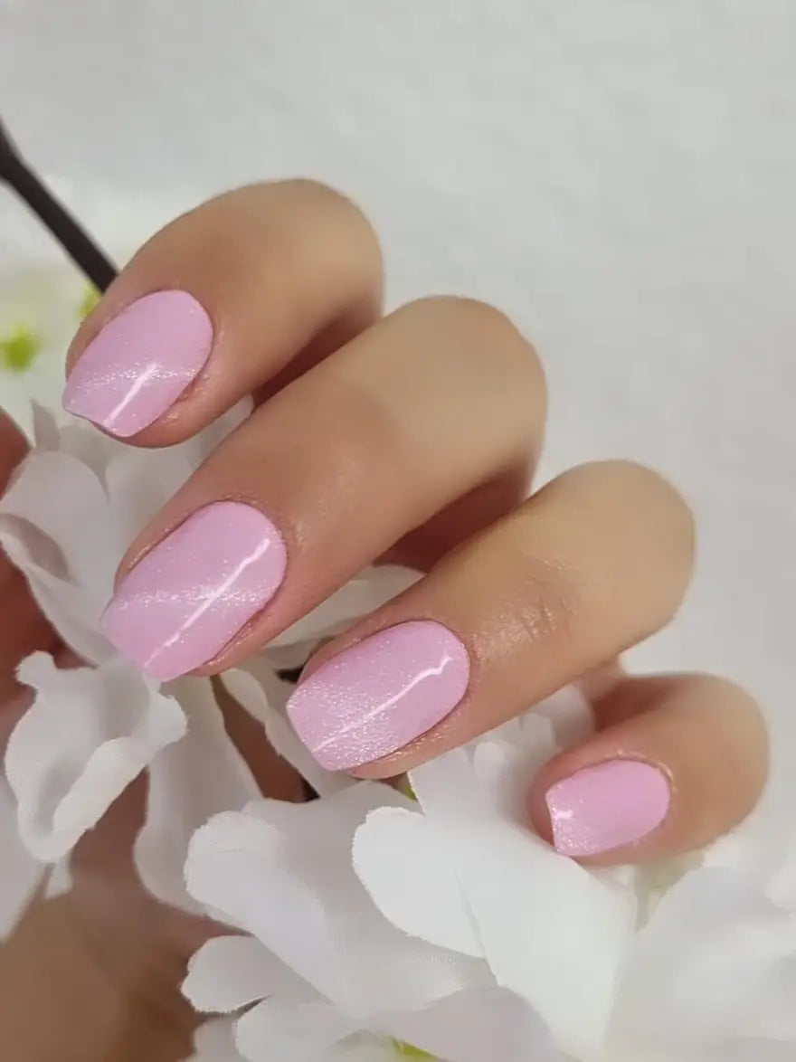 Ružová línia (Pink Contour)