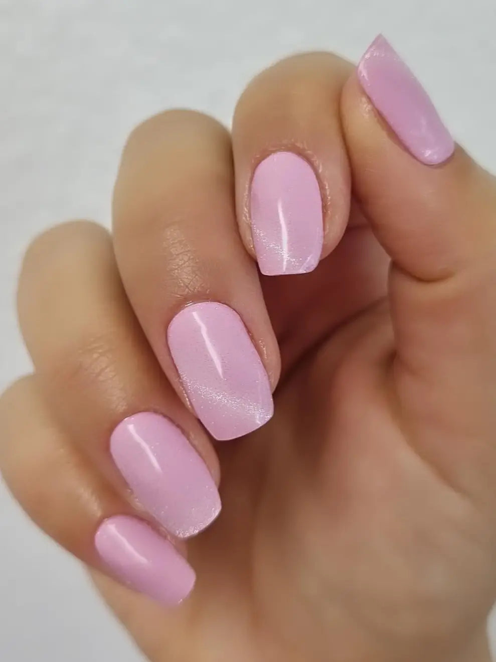 Ružová línia (Pink Contour)