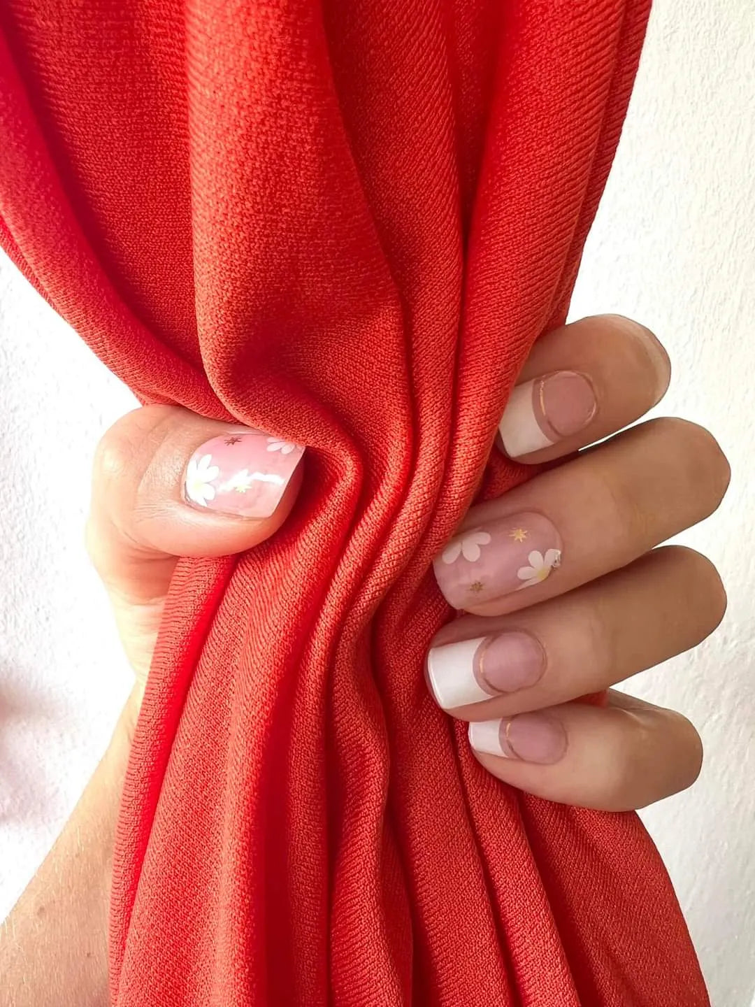 Francúzska sedmokráska (French Daisy)