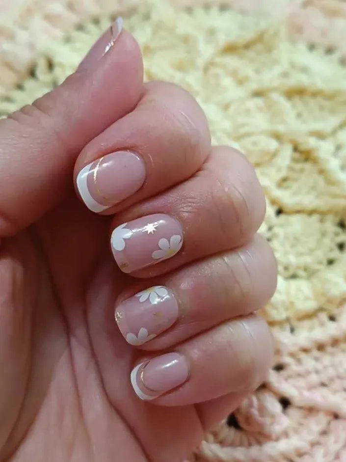 Francúzska sedmokráska (French Daisy)