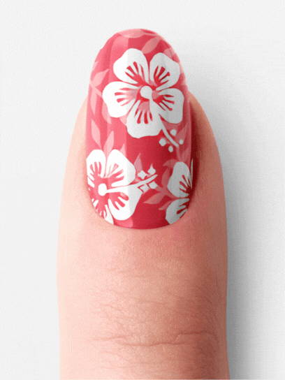 Aloha Bloom