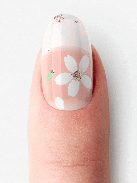 Cherry Bloom